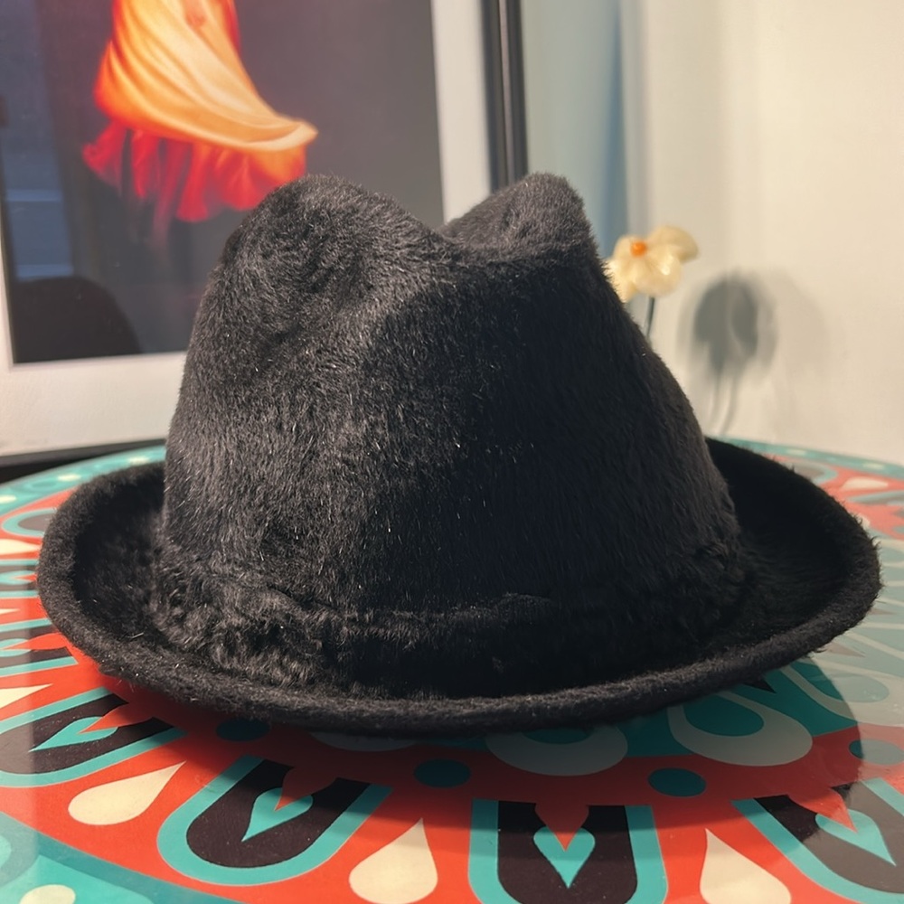 Authentic Stetson Fedora - Picture 3 of 13